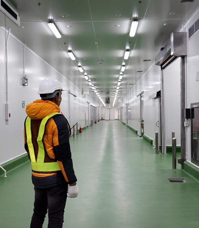 Pulizia-celle-frigo-industriali-per-eliminazione-batteri-per-ristoranti-supermercati